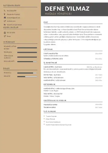 cv indir